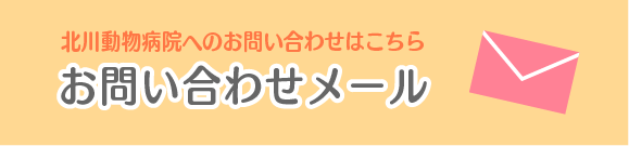 北川動物病院へのお問い合わせはこちら お問い合わせメール