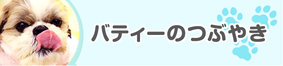 バティーのつぶやき