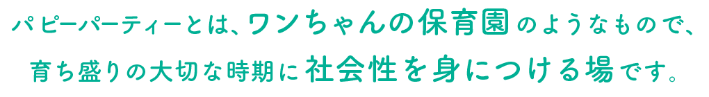 パピーパーティーとは、ワンちゃんの保育園のようなもので、育ち盛りの大切な時期に社会性を身につける場です。